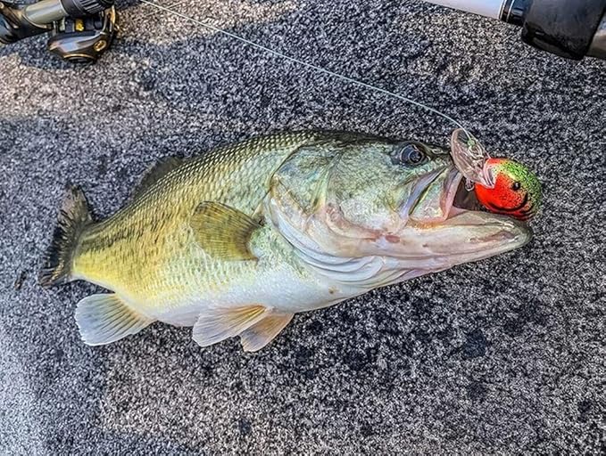 Bandit Lures BDT