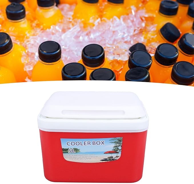 Large 5L Insulated Cooler Box Portable Ice Box for Travel Camping Picnic Fish, Insulated Cooler Box Hard Case Keeps Food Freshness and Drink Cool