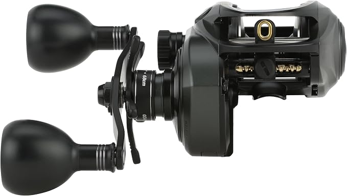 Abu Garcia Beast 300 Low Profile Baitcast Fishing Reel