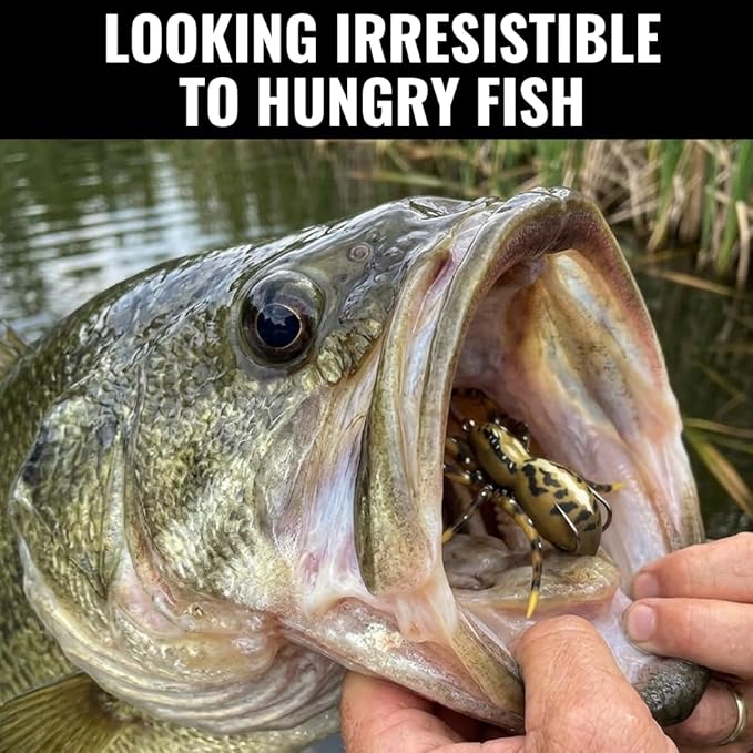 LUNKERHUNT Top Water Bass Fishing Lures | Realistic Weird Fishing Bait for Bass Fishing | Weedless bass Fishing Lures for Freshwater & Saltwater | Frog, Spider & Dragonfly (Bug Combo)