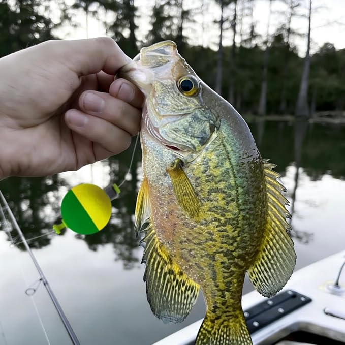 12 Pcs Fishing Bobbers Floats,Snap-on Fishing Bobber Fishing Float Corks Weighted Bobbers for Fishing Crappie Panfish Bluegill Trout