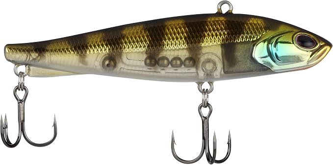 Berkley Ripfish