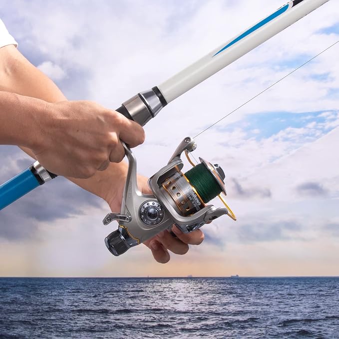 Yoshikawa Baitfeeder Spinning Reel Fishing 5.5:1 11 High Power Stainless Ball Bearings 30Lb Drag Right Left Hand Saltwater Freshwater Reversible Front Rear Drag Live Liner 3000-6000