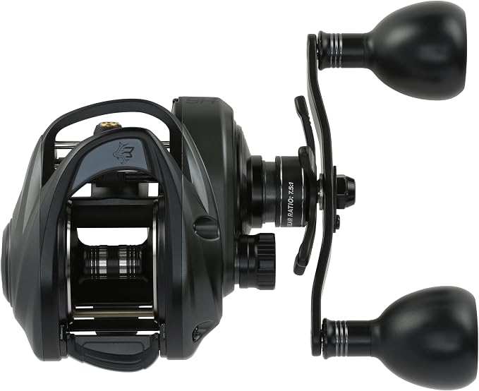 Abu Garcia Beast 300 Low Profile Baitcast Fishing Reel