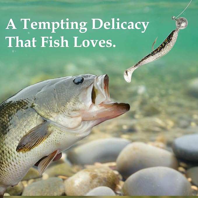 40pack Fishing Jig Heads Set with Hooks Box, Fishing Soft Lures Hooks for Crappie Bass Trout, Saltwater Freshwater Fishing Tackle Kit, 1/8 oz, 3/16 oz, 1/4 oz, 3/8 oz, 10pcs Each Size
