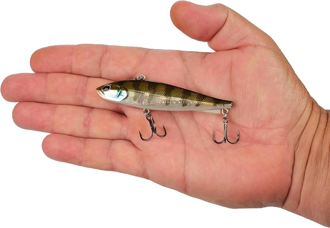 Berkley Ripfish