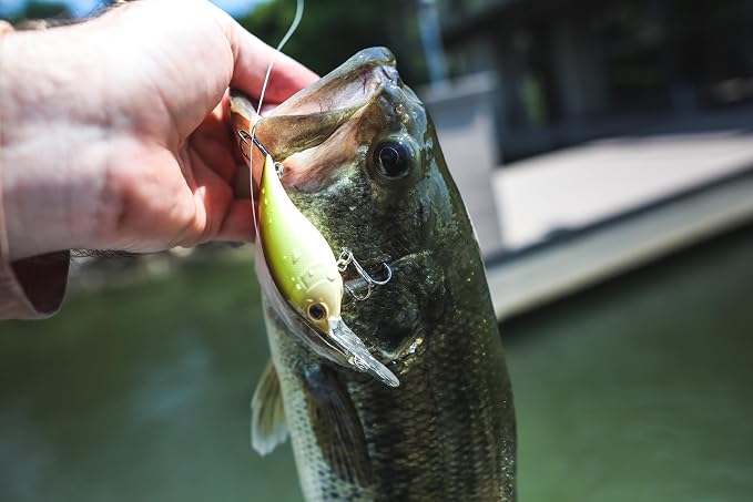 Berkley Frittside Fishing Hard Bait