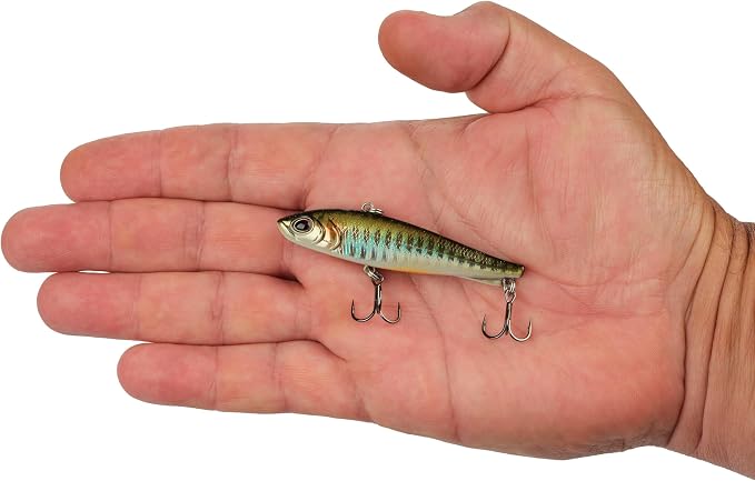 Berkley Ripfish