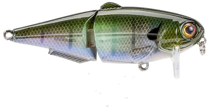 Strike King (HCWS2-822) Wake Shad Fishing Lure, Single Jointed Swimming Topwater Wakebait, 1-Ounce, Size 2 Treble Hooks, The Real Gill