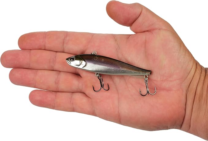 Berkley Ripfish