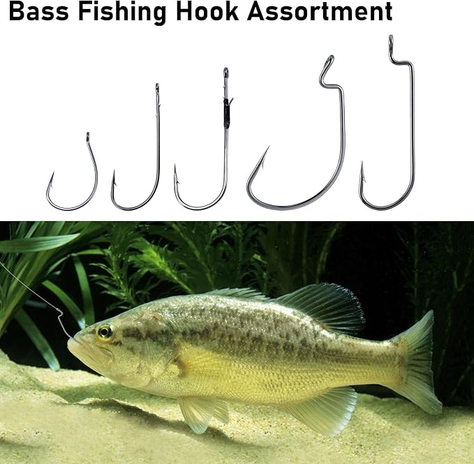Dr.Fish Bass Hook Assortment, EWG, Round Bend, Drop Shot, Heavy Cover, Freshwater Fishing Worm Hooks Kit with Tackle Box, Texas Rig, Wacky, Punching Flipping