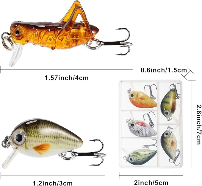 Skylety 10 Pieces Mini Fishing Lures Fishing Hard Baits Hooks Crankbaits Lures Baits Topwater for Freshwater Saltwater Trout Bass Perch with Box