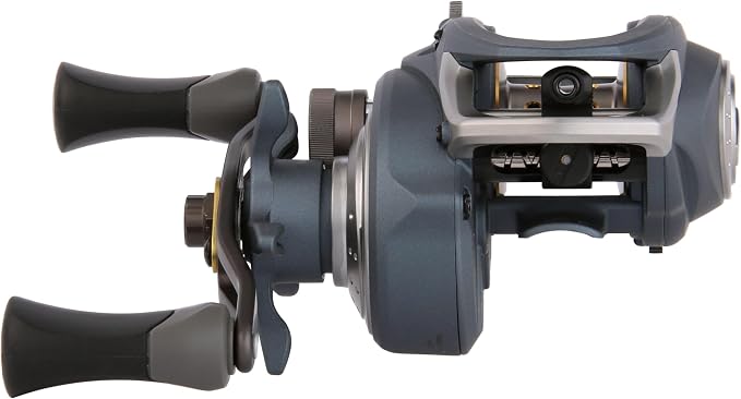 Pflueger President Baitcast Low Profile Fishing Reel