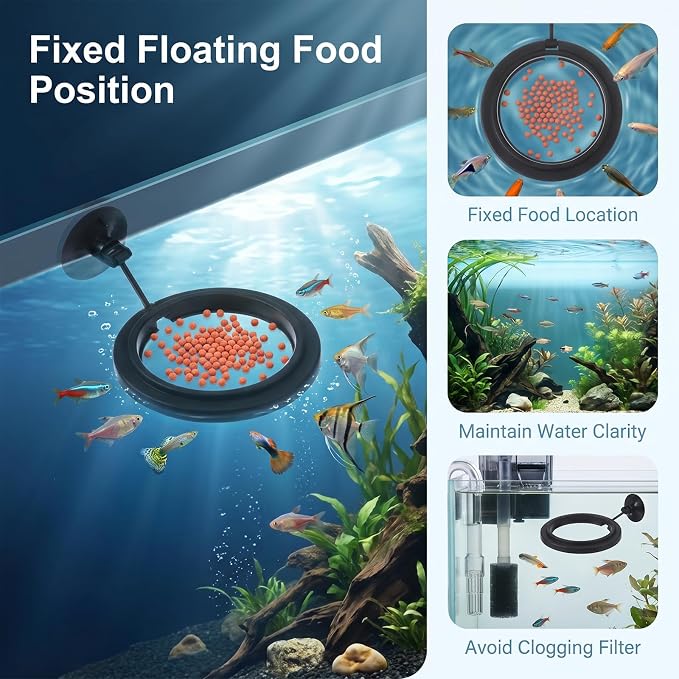 5 Sizes EVA Fish Feeding Ring and 1 Pcs Suction Cup Fish Feeder Ring, 6 Pcs Black Round Floating Rings for Aquarium Set, Floating Rings for Aquarium Betta Goldfish Guppy