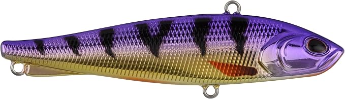 Berkley Ripfish