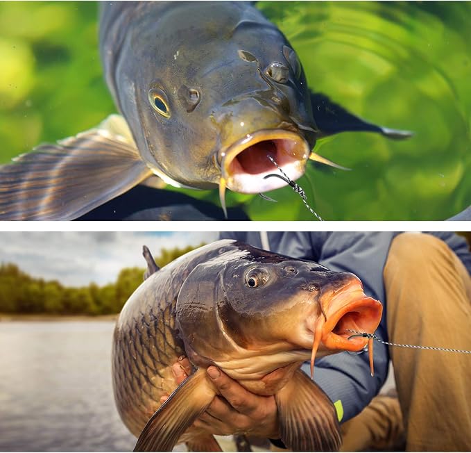 Carp Fishing Hair Rigs, 20 Pcs Curved Barbed Carp Hook Anti-Tangle Swivel Braided Thread line with 3 Card Boilie Bait Stops Dumbell Stoppers and Stringer Needle