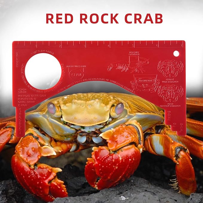 Dungeness Crab Gauge Measure with Ruler Multi Shrimp Clam Measuring Tool for Oregon, Washington and California