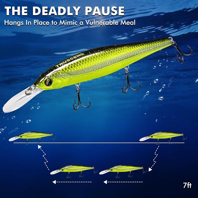 TRUSCEND Suspending Jerkbait, Rattle Minnow Lures with BKK Hooks, Freshwater Bass Trout Striper Walleye Pike Fishing Lures, Variety Pack for All Water Conditions, Premium Fishing Gear and Gifts
