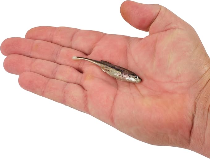 Berkley PowerBait Drip Minnow Fishing Soft Bait