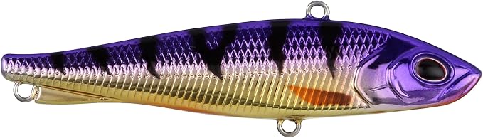 Berkley Ripfish