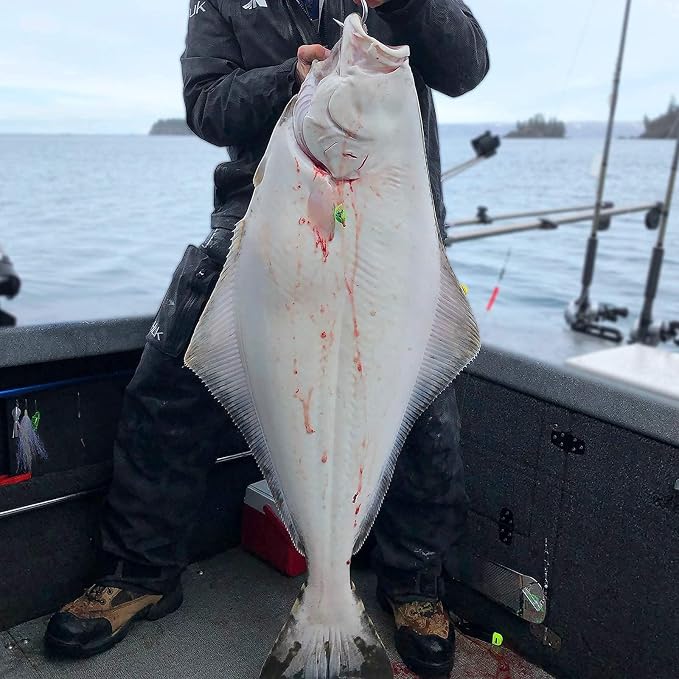 KastKing Kapstan Elite 300 Baitcasting Fishing Reel, Low Profile, Large Capacity Casting Reel, Graphite Frame, 35 lbs. Drag 5.4:1 Ratio, 8+1 Double Shielded/SS BB Centrifugal Braking