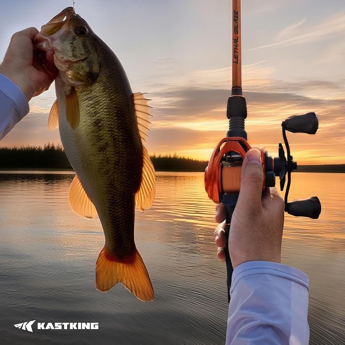 KastKing Lethal Blaze Twin-Tip Fishing Rods, IM6 Graphite Blanks Casting & Spinning Rods, 2-Piece Rod with Extra Tip, PTS Power Transition System, Ideal for Bass, Freshwater & Inshore Fishing