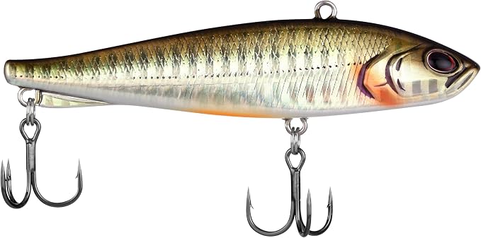 Berkley Ripfish