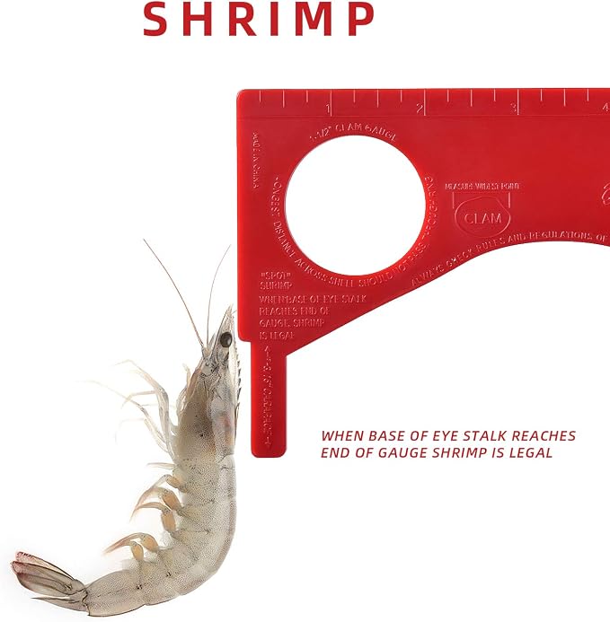 Dungeness Crab Gauge Measure with Ruler Multi Shrimp Clam Measuring Tool for Oregon, Washington and California