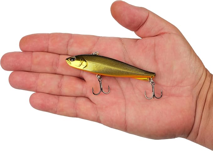 Berkley Ripfish