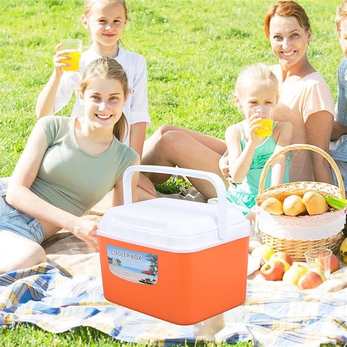 Large 5L Insulated Cooler Box Portable Ice Box for Travel Camping Picnic Fish, Insulated Cooler Box Hard Case Keeps Food Freshness and Drink Cool