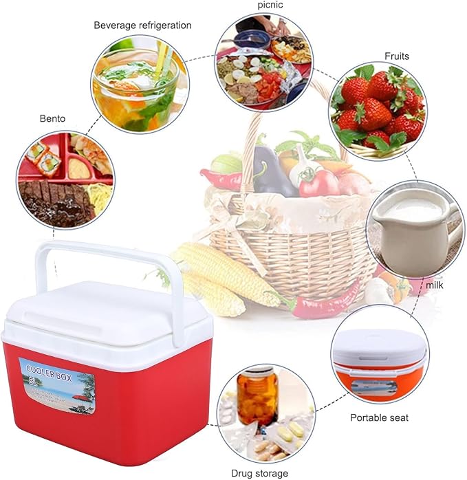Large 5L Insulated Cooler Box Portable Ice Box for Travel Camping Picnic Fish, Insulated Cooler Box Hard Case Keeps Food Freshness and Drink Cool
