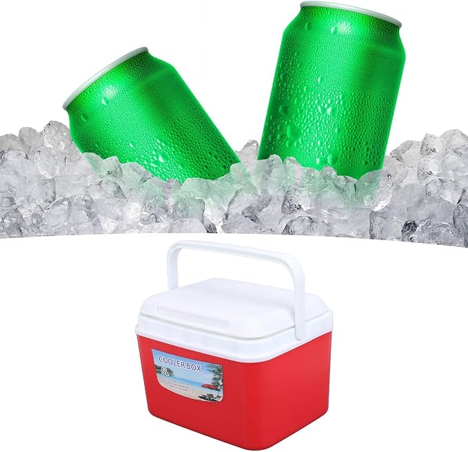 Large 5L Insulated Cooler Box Portable Ice Box for Travel Camping Picnic Fish, Insulated Cooler Box Hard Case Keeps Food Freshness and Drink Cool