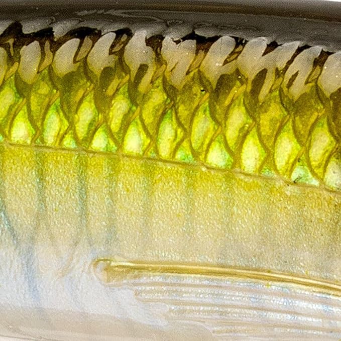 Strike King (HCEV70-864) Evader 70 Fishing Lure, Multi-Functional Hard Bait, Metal Lip, Evasive Action, 2 3/4-Inches, 1/4-Ounce, Size 10 Treble Hooks, Ghost Herring
