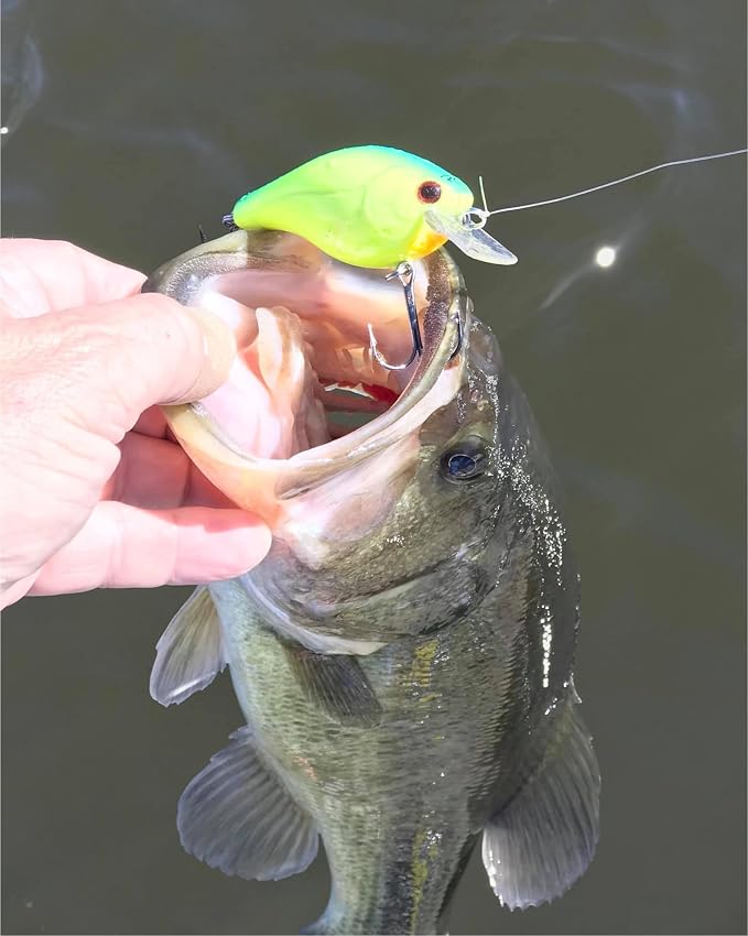 Luck E Strike 2 Inch Square Bill Crankbait, Made in The USA