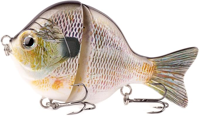 Glide Bait, Slow Sinking Swimbait, Topwater Hard Lures for Bass Catfish,Pike Perch, Freshwater or Saltwater