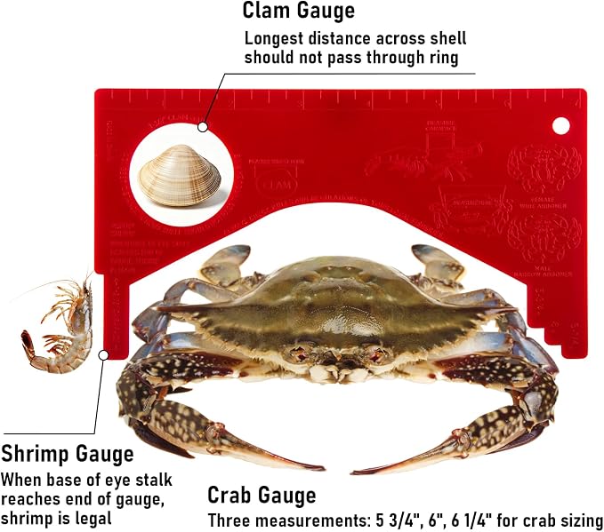 Dr.Fish Crab and Lobster Gauge, PVC Aluminum Gauge Measure for Blue Crab Lobster Shrimp Clam, Multi-Functional Measuring Tool Designed for Seafood Harvesting Enthusiasts