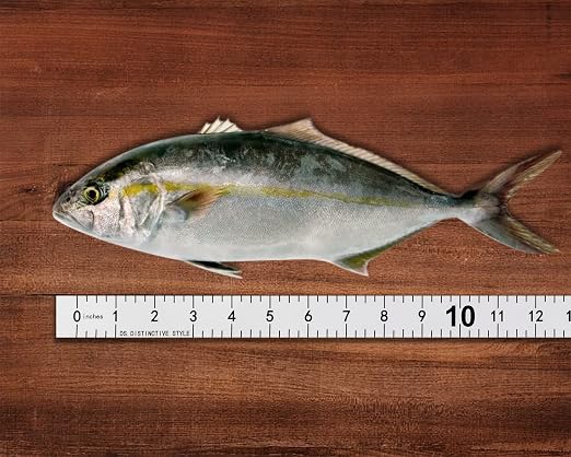 DS. DISTINCTIVE STYLE Fish Ruler Sticker 40-Inch Waterproof Adhesive Ruler Tape Fish Measuring Tape for Kayak, Boat, and Workbench