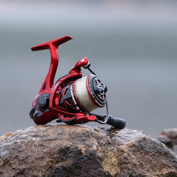 KastKing Royale Legend Fishing Reel - 5.2:1/6.2:1 Gear Ratio Spinning Reel, Up to 22 Lbs of Carbon Drag, 5+1/7+1 Stainless Steel Ball Bearings, Graphite Frame, Asymmetric Spinning Reel Rotor Design