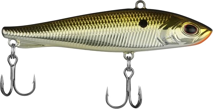 Berkley Ripfish