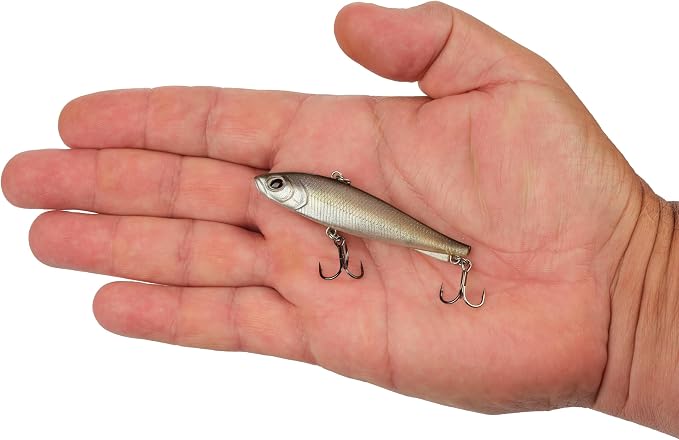 Berkley Ripfish