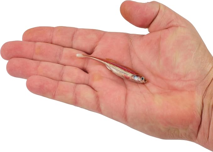 Berkley PowerBait Drip Minnow Fishing Soft Bait