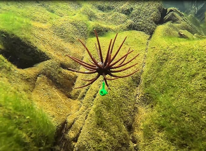 QualyQualy Sea Urchin Soft Lure, Super Durable Tentacle Creature Lure for Bass Pike Trout Fishing Easy Catch Saltwater Freshwater Soft Lures TPE Material
