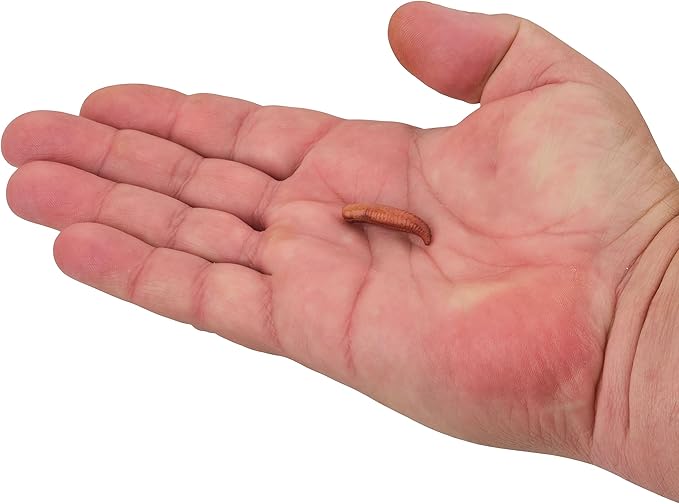 Berkley Gulp! Floating Pinched Crawler Fishing Soft Bait