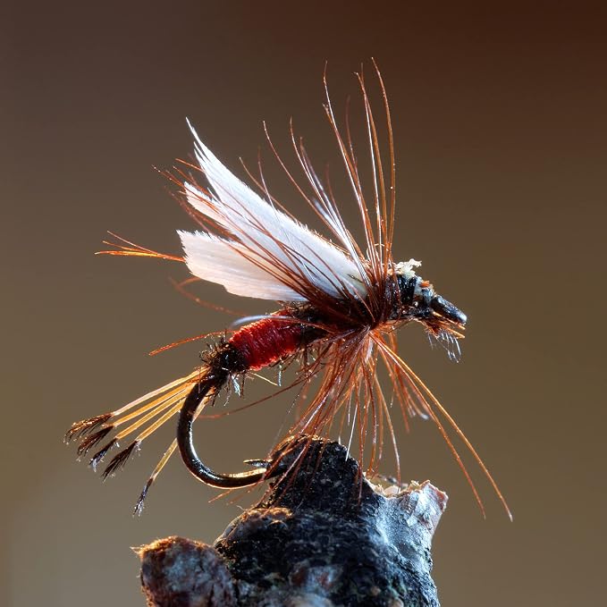 Goture Fly Fishing Poppers Lures, Topwater Popper Flies Bugs Lure, Fly Fish Poppers Fishing Lures Kit, Dry Flies for Panfish Bluegill Crappie Sunfish Bass Trout Salmon