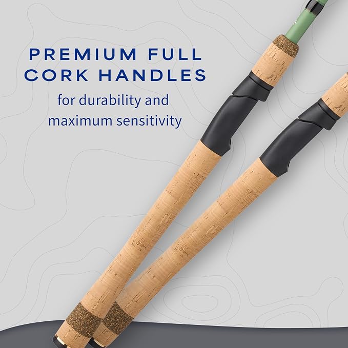 Shakespeare Wild Spinning Rod