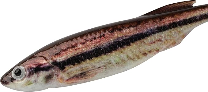 Berkley PowerBait Drip Minnow Fishing Soft Bait