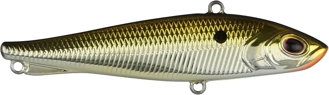 Berkley Ripfish