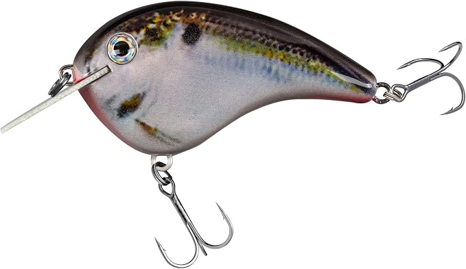 Strike King Chick Magnet Jr. Crankbait Fishing Lure, 1/4 oz, Dives 4-6 Feet, Premium Hooks