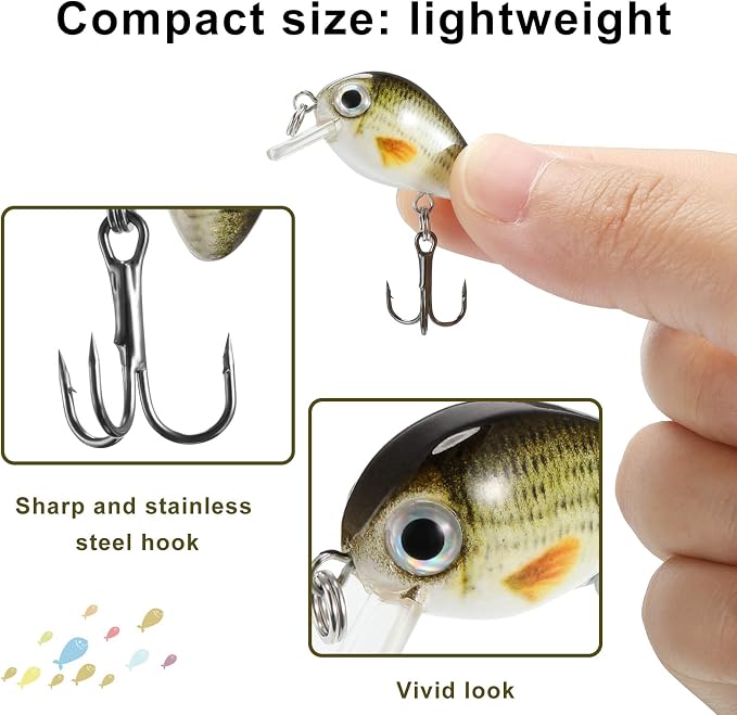 Skylety 10 Pieces Mini Fishing Lures Fishing Hard Baits Hooks Crankbaits Lures Baits Topwater for Freshwater Saltwater Trout Bass Perch with Box