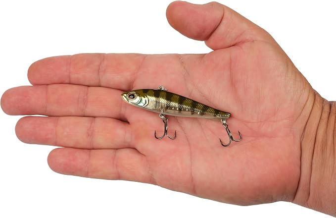 Berkley Ripfish